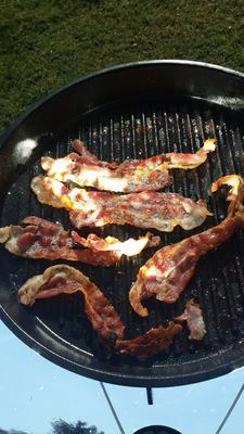 Bacon on the SolSource - tempting the neighbors with the aroma