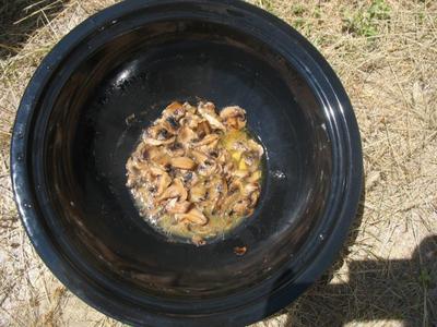 Hot Pot Cooked Mushrooms