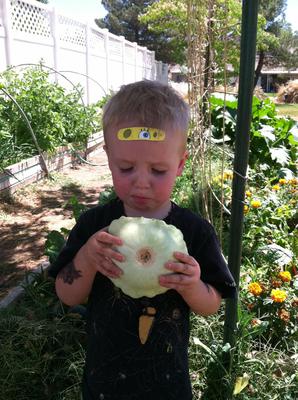 My Grandson helping with the harvest