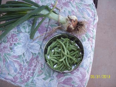 Beans and Onions from the Garden