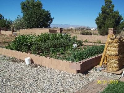 Our Garden of goodies