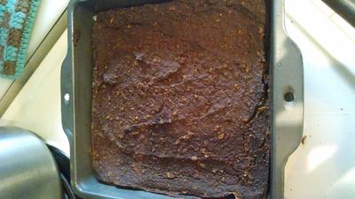 Solar Brownies (sort of)