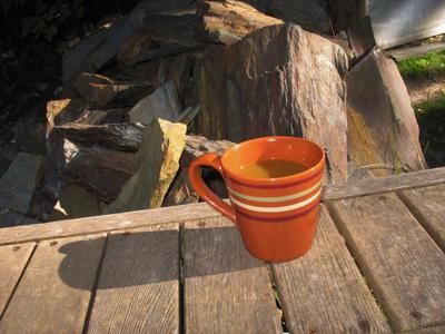 Cup of Hot Pot Spiced Apple Cider on a fall day