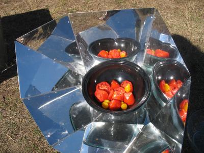 Fresh Tomatoes in the Hot Pot