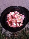 Seasoned wings, ready to bake