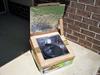 Steve's Homemade Solar Box Cooker