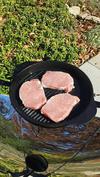 Three thick pork chops on the SolSource
