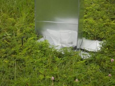 A second black snake checking out the source of (minimal) heat in our back yard