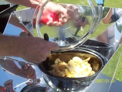 Solar Baked Cinammon Apples