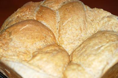 Solar Challah Bread