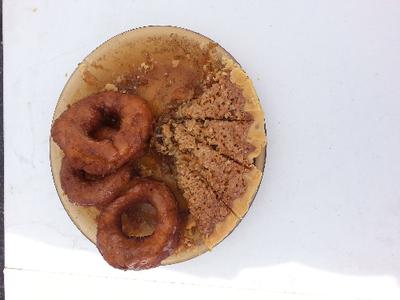 Solar Oven Oatmeal pie with pumpkin doughnuts (what's left)