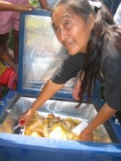 Solar Cooking Initiative