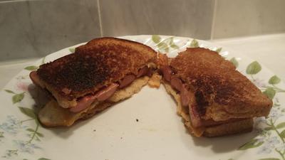  SolSource Grilled cheese and meat sandwich