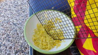 Grating the Squash with a wire grate