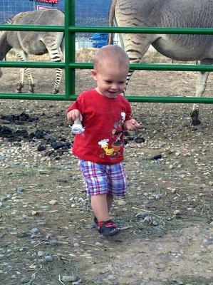 My Grandson taking a break from the car