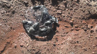 Frozen and drowned invaders